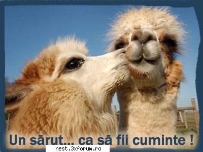 hai sa ne distram - la MULTIIIIIIIIIIIIII - FuN